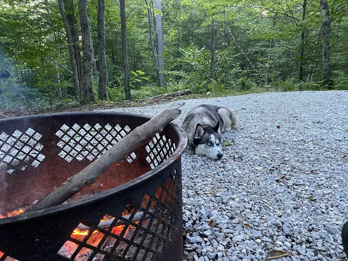 Moosalamoo Campground Picture 6