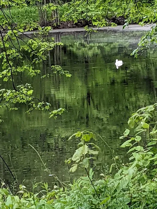 Camp Ponagansett Picture 1