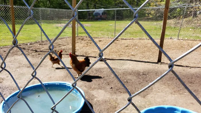 Holiday Acres Camp Grounds Picture 4