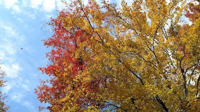 Holiday Acres Camp Grounds Picture 8