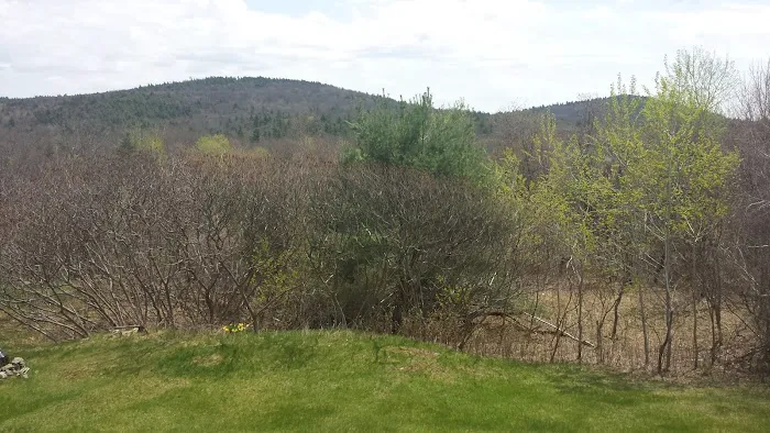 All Seasons Campground Picture 5