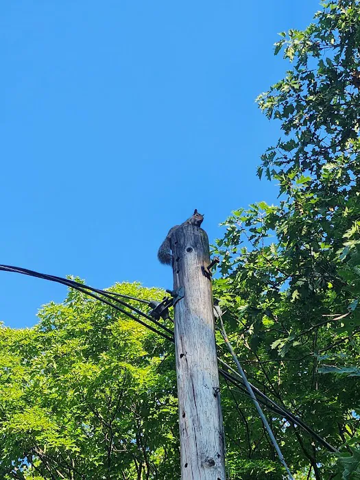 All Seasons Campground Picture 6