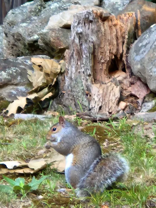 All Seasons Campground Picture 1