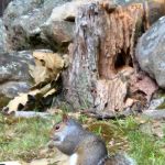 All Seasons Campground