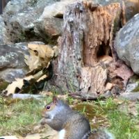 All Seasons Campground ico