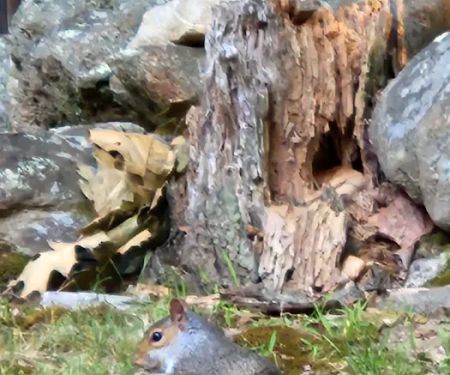 All Seasons Campground