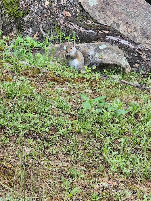 All Seasons Campground Picture 8