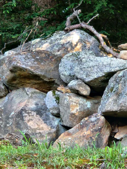 All Seasons Campground Picture 2