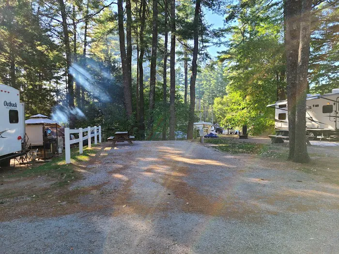 Cold Springs Camp Resort Picture 6