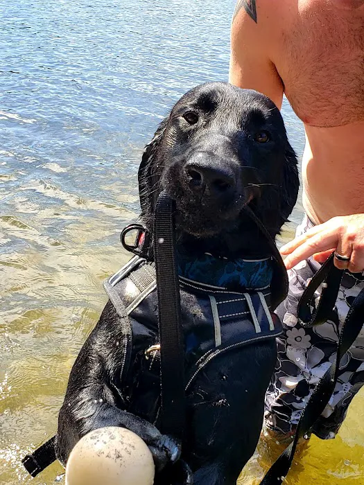 Gossler Camps Picture 5