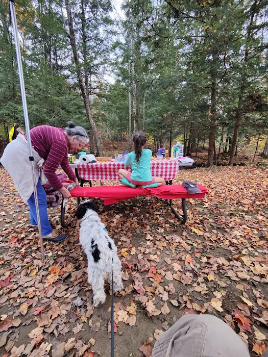 Pitch Perfect at Canterbrook Picture 10