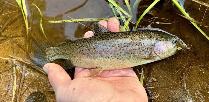 Cascade Campground Picture 2