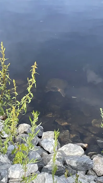 Sanborn Shore Acres Picture 5