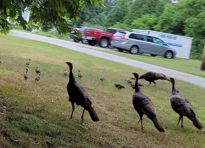 Hanscom AFB FamCamp Picture 5