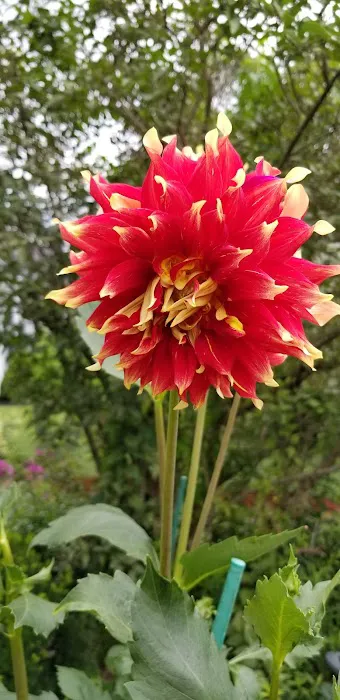 Camp Forty Acres Picture 3