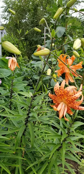 Camp Forty Acres Picture 2