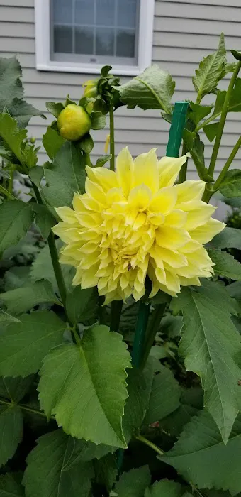 Camp Forty Acres Picture 5