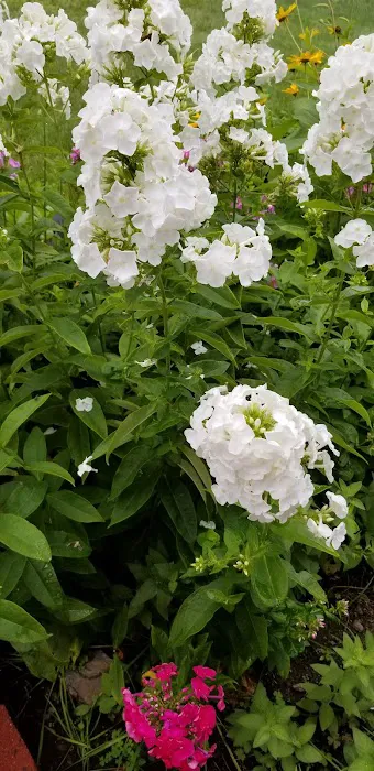 Camp Forty Acres Picture 1