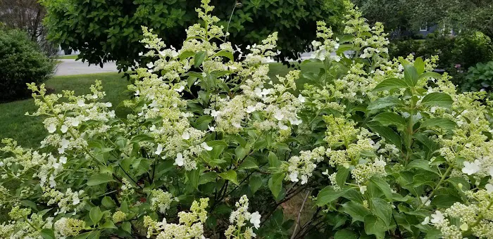 Camp Forty Acres Picture 10