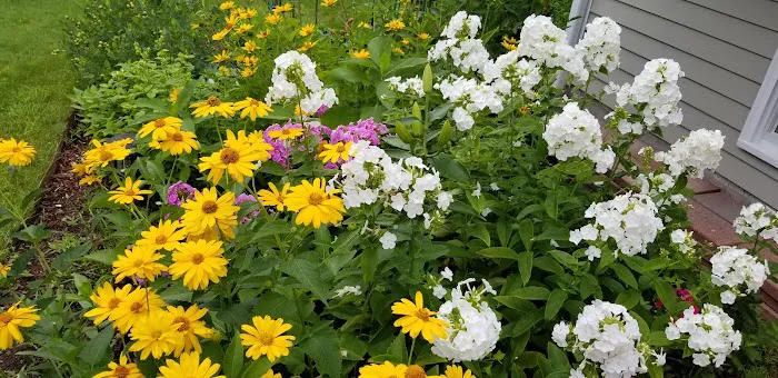 Camp Forty Acres Picture 8