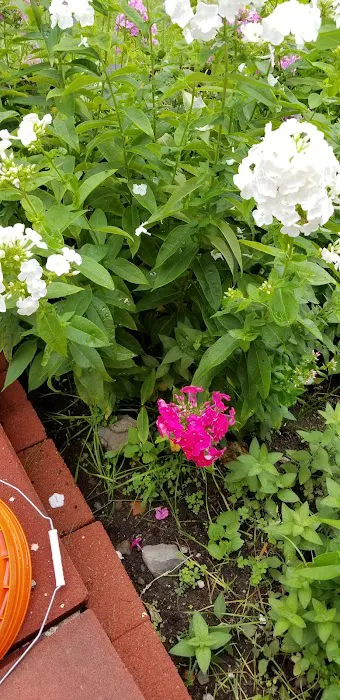 Camp Forty Acres Picture 9