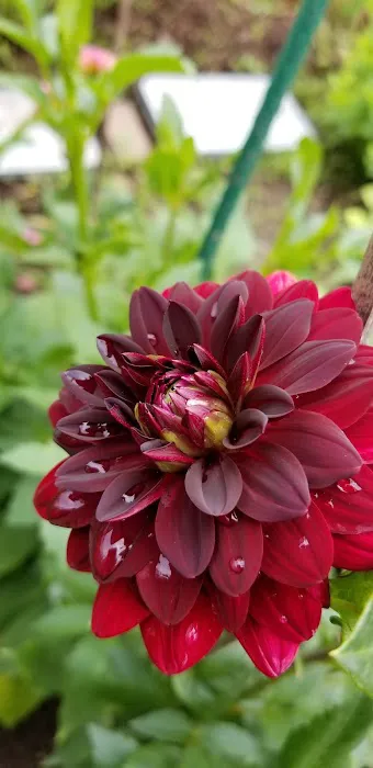 Camp Forty Acres Picture 6