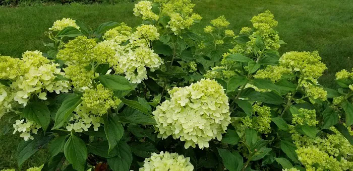 Camp Forty Acres Picture 4