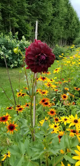 Camp Forty Acres Picture 7