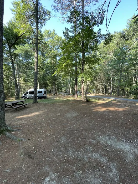 Lorraine Park Campground Picture 6