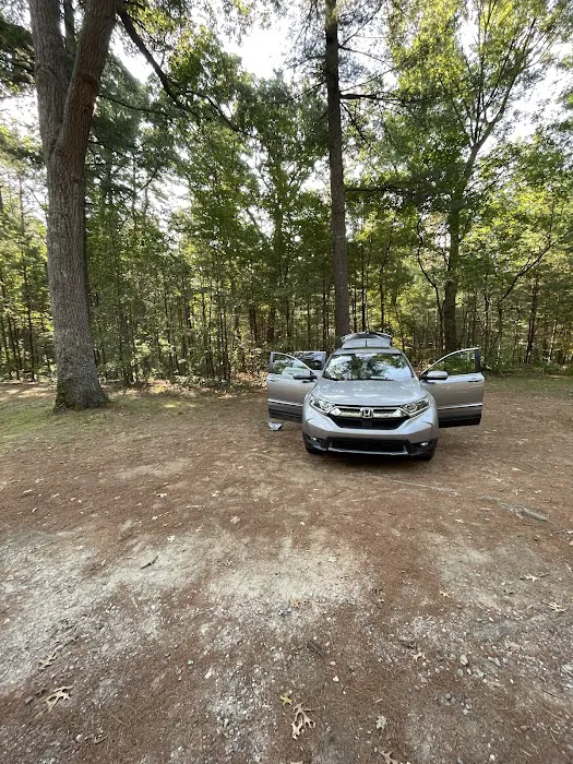 Lorraine Park Campground Picture 5