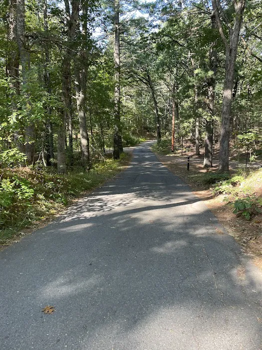 Lorraine Park Campground Picture 3