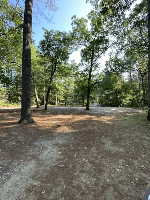 Lorraine Park Campground Picture 1