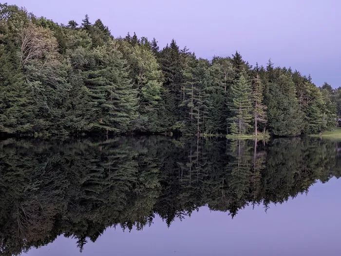 Hidden Pond Campsite Picture 4