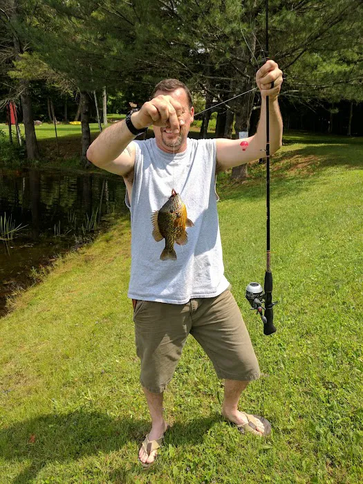 Hidden Pond Campsite Picture 6