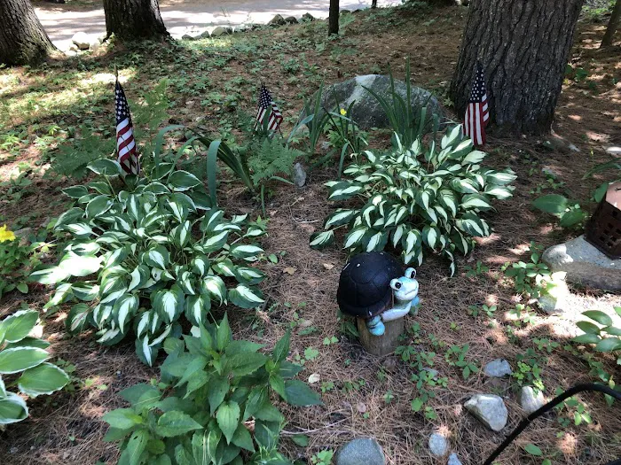 Hidden Pond Campsite Picture 8
