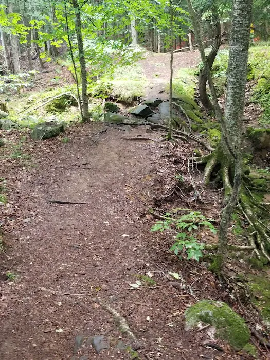 Camp Waubeeka Picture 3