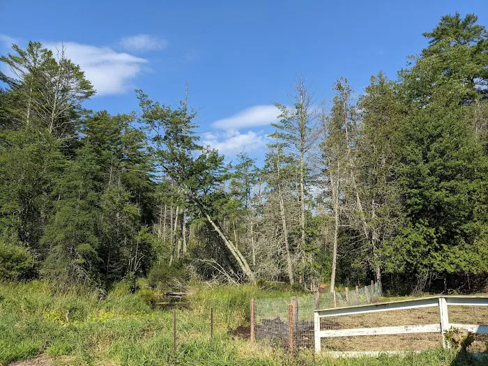 STEM Ranch Picture 3