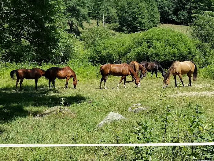 STEM Ranch Picture 7