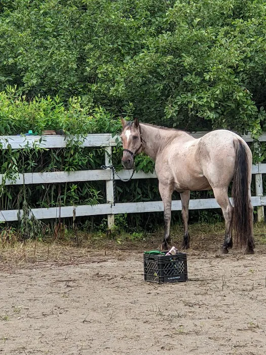 STEM Ranch Picture 6