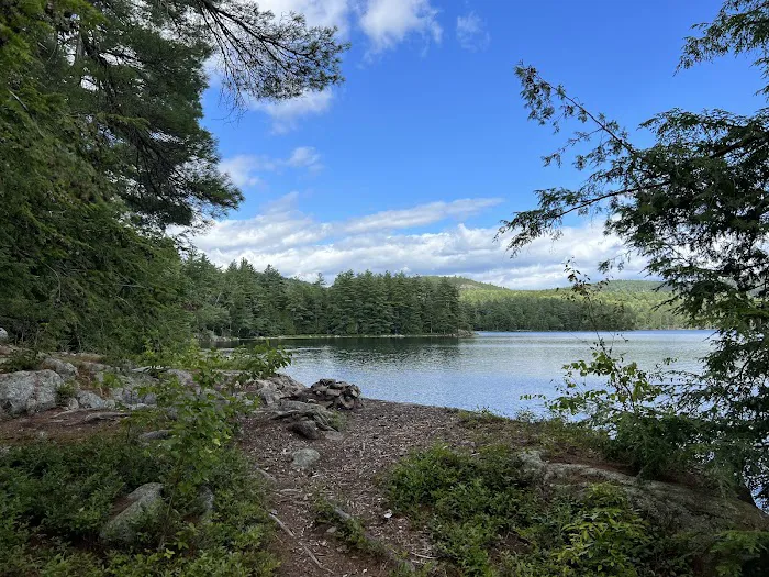 Pharaoh Lake Campsite near Pharaoh Mtn Trail Jct Picture 4