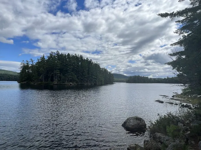 Pharaoh Lake Campsite near Pharaoh Mtn Trail Jct Picture 1