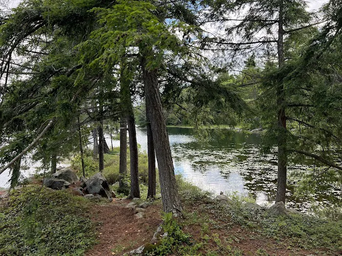 Pharaoh Lake Campsite near Pharaoh Mtn Trail Jct Picture 3