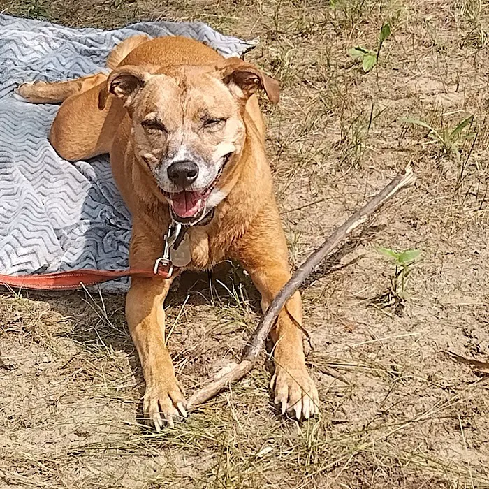 On The River Campground LLC Picture 8