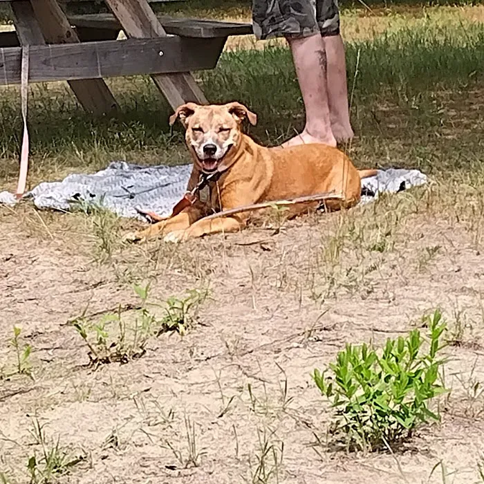 On The River Campground LLC Picture 9