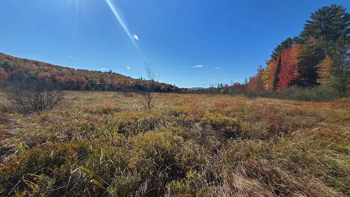 On The River Campground LLC Picture 3