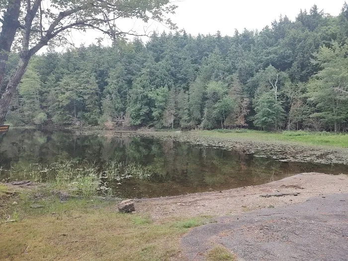 Paradox Pond Campground Picture 8