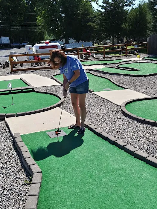 Bedford Creek Marina Picture 7