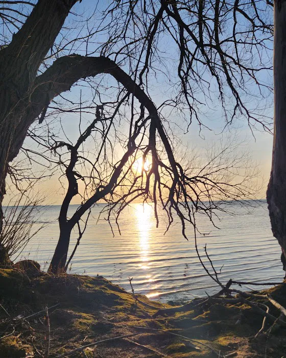 Bedford Creek Marina Picture 8