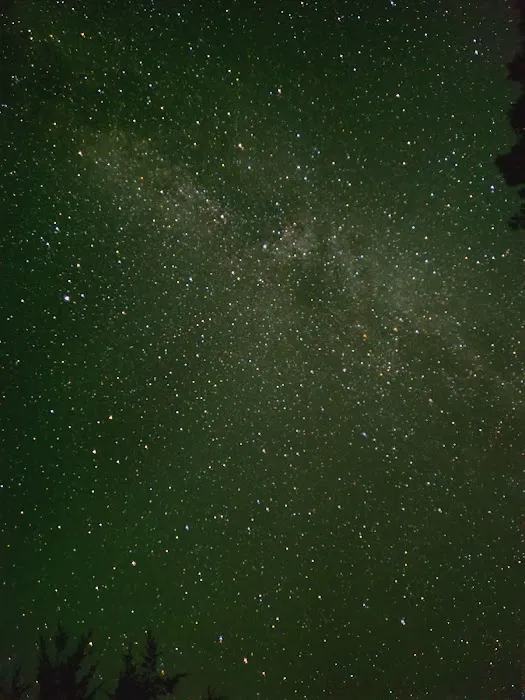 Westcott Beach Plateau Camping Picture 2