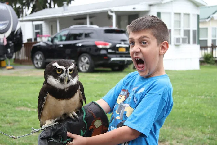 Willows on the Lake Campground Picture 7